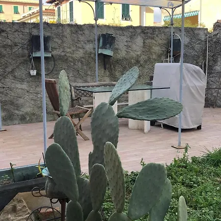 Apartment Minimolly Nel Verde