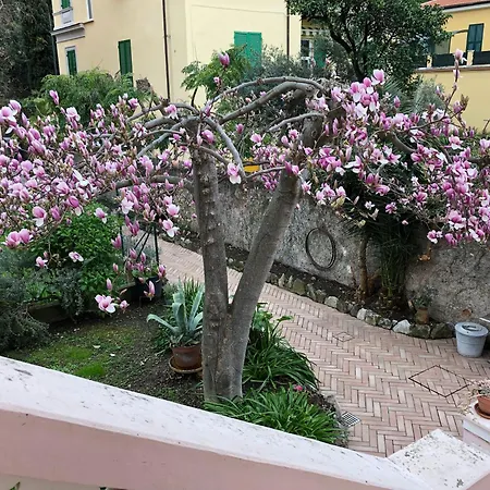 Minimolly Nel Verde *